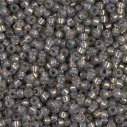 Miyuki seed beads 11/0 - Dyed rustic grey silver lined alabaster 11-650